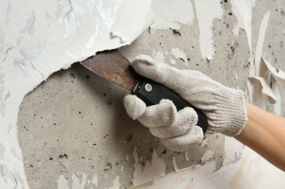Wallpaper Removal Process